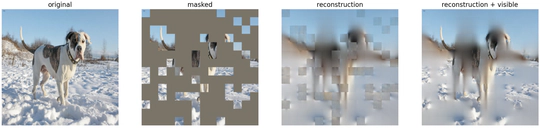 Impact of the pre-training data distribution on the fine-tuned performance of Masked Autoencoders