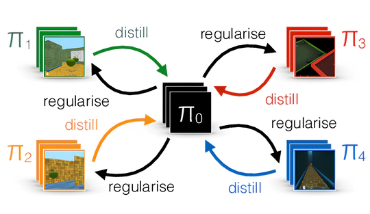 Multi-Task Multi-Agent RL using shared distilled policies